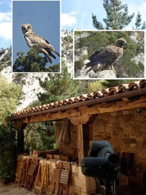 Posada Molino Del Canto Barriolacuesta Luaran gambar
